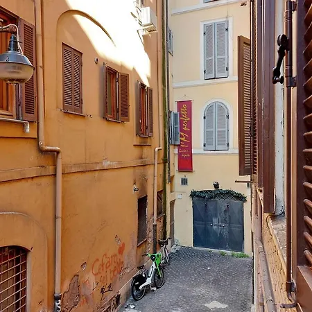 Ych-Bright Suite Navona-2